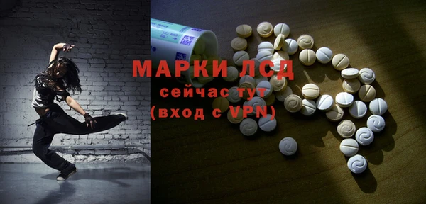спайс Арсеньев