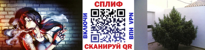 Бошки марихуана семена  Медвежьегорск 